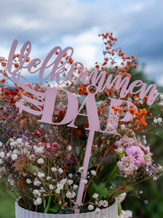 "Velkommen til dÄp" Skilt